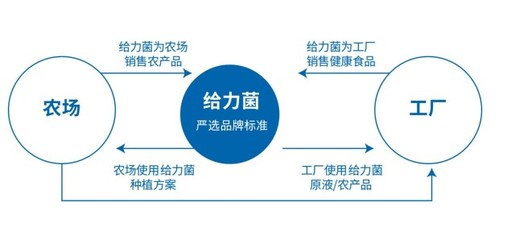 给力菌与青海等多省区地标产品达成战略合作 打造农产品产销闭环新范式