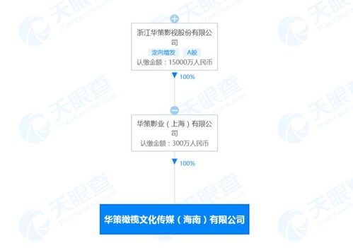 华策影视在海南成立新公司,经营范围含食品互联网销售等